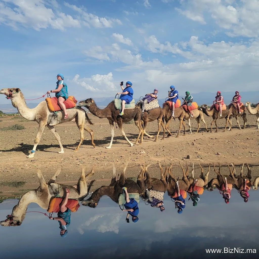 Marrakech Tours