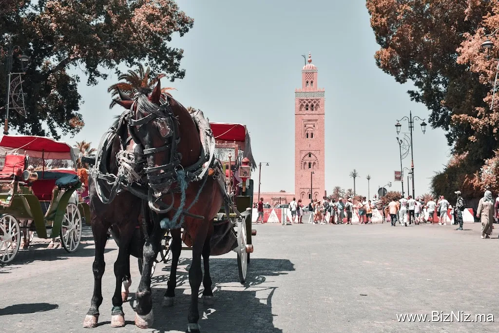 limitless morocco tours