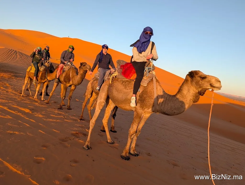 Morocco Private Tours