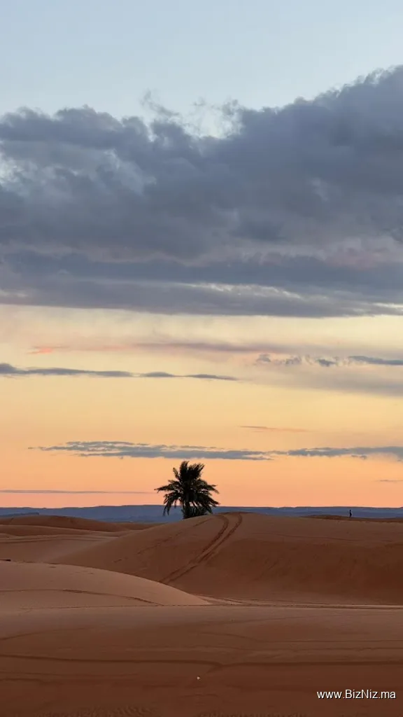 Morocco Private Tours