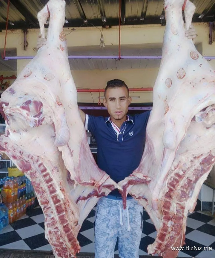 مجزرة الطوسي ع الصادق