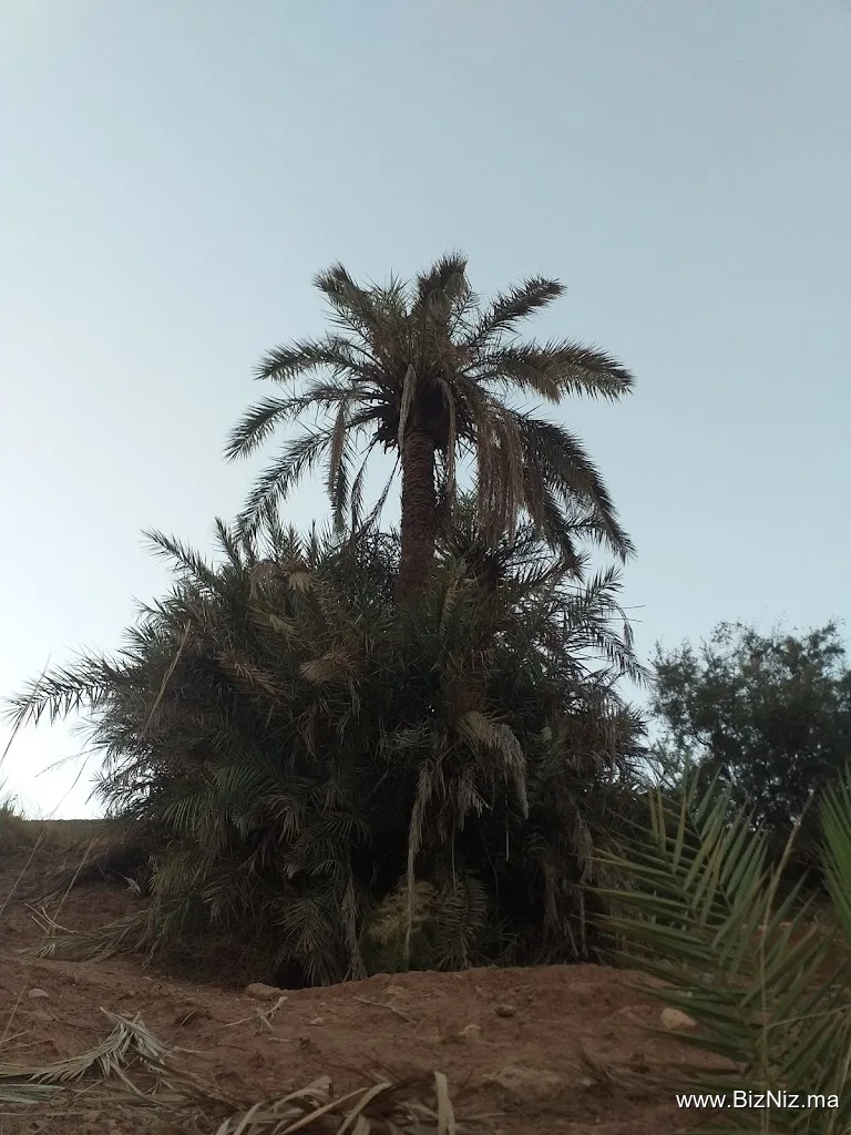 morocco extra tours