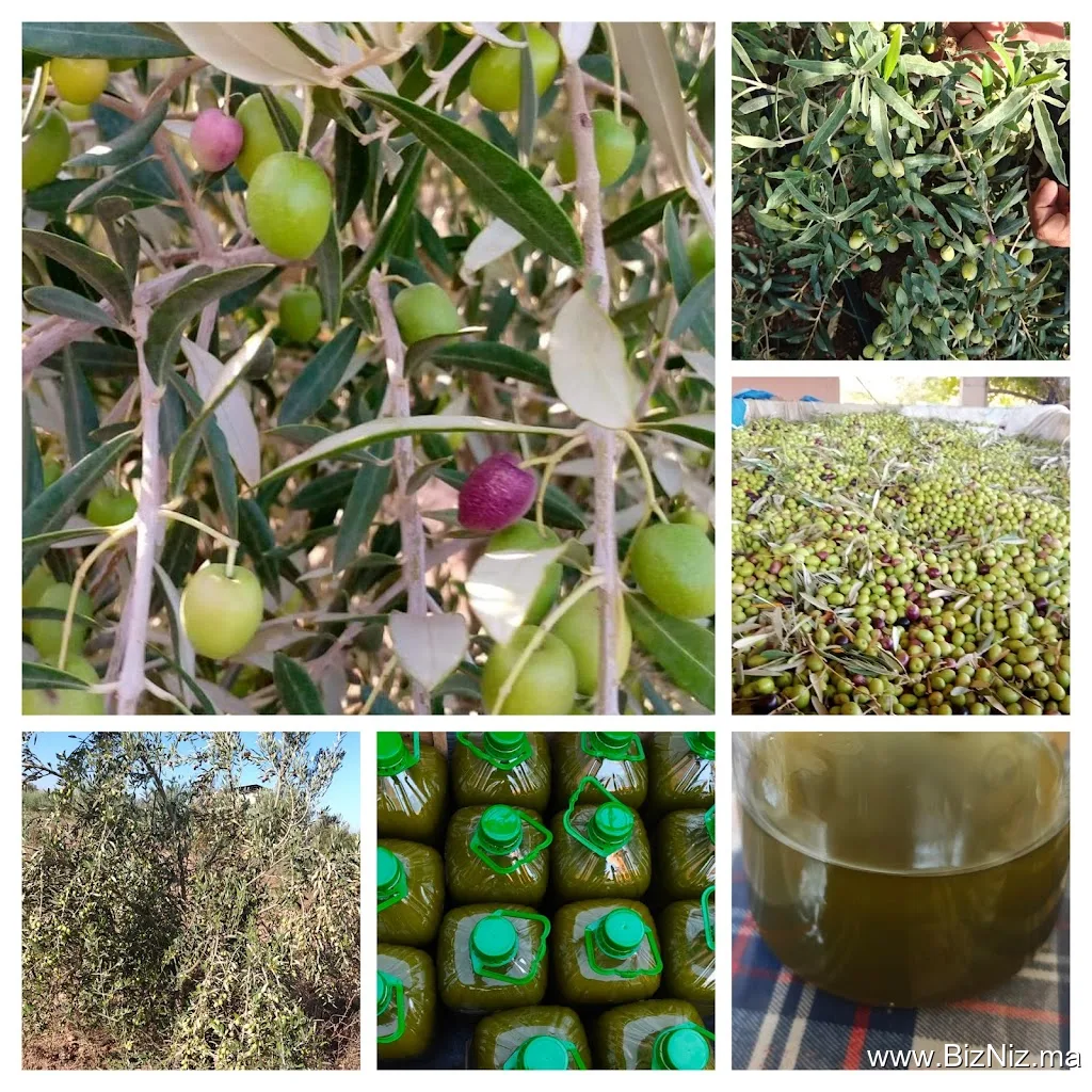 زيت الزيتون
