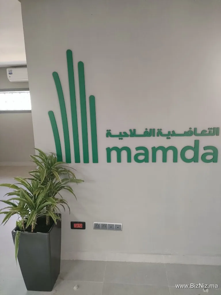 MAMDA : Mutuelle Agricole Marocaine d'Assurance