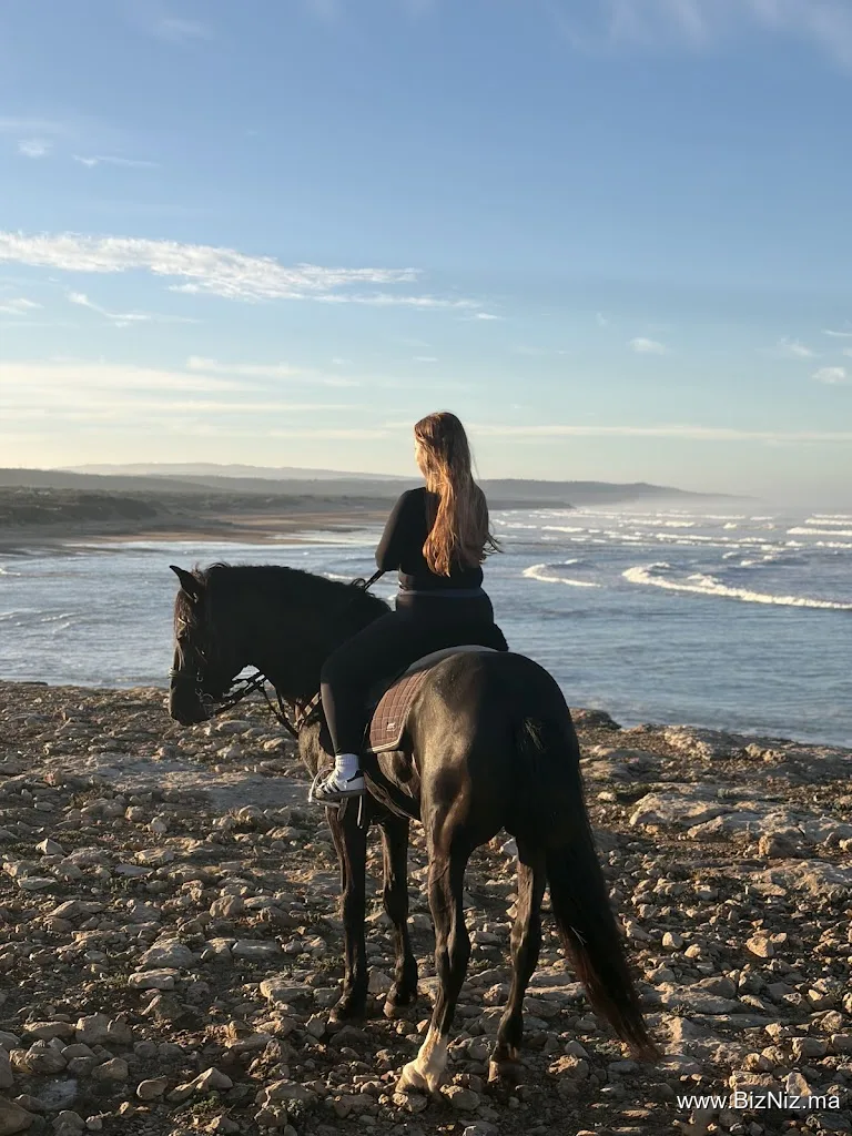 Essaouira Dreamers