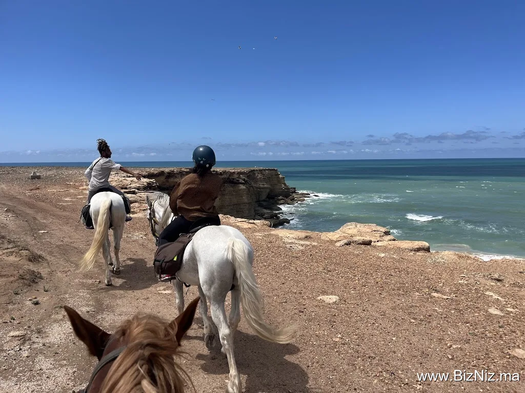 Essaouira Dreamers