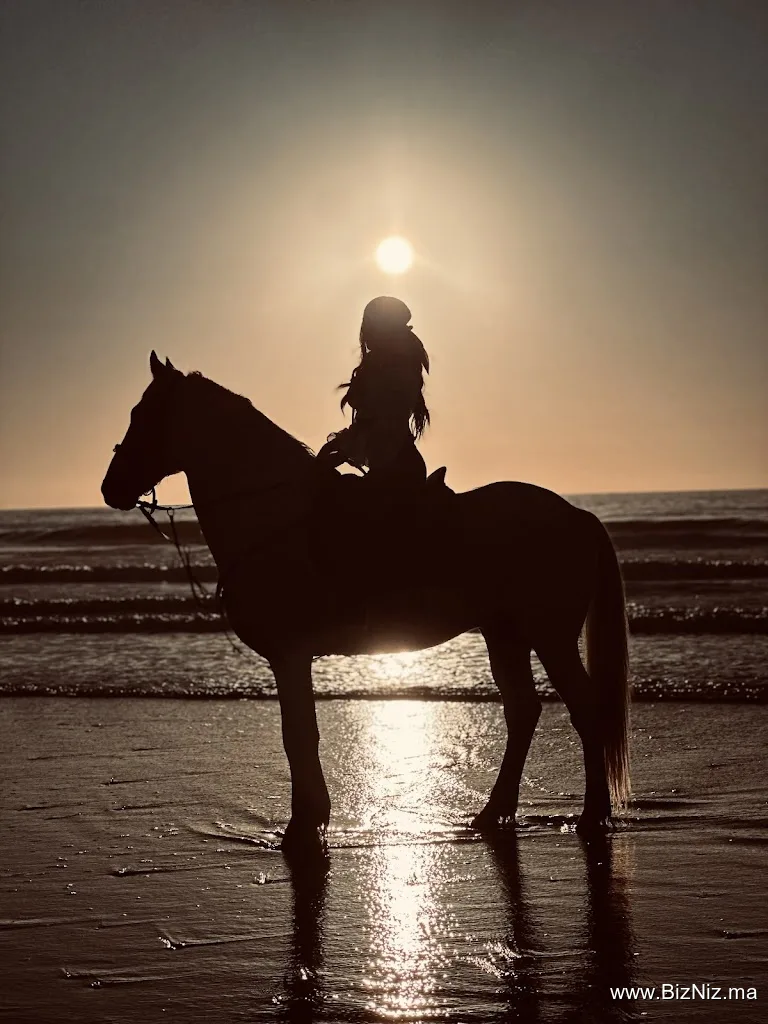 Essaouira Dreamers