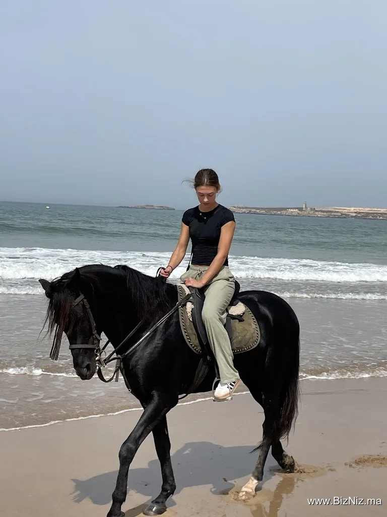 Essaouira Dreamers