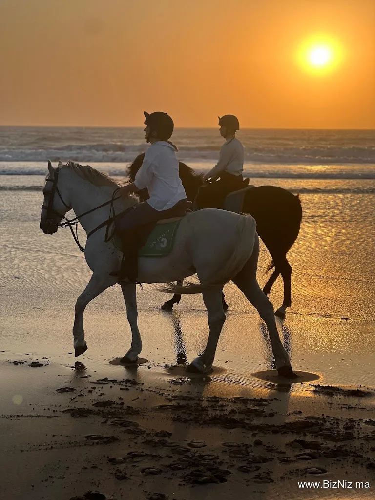 Essaouira Dreamers