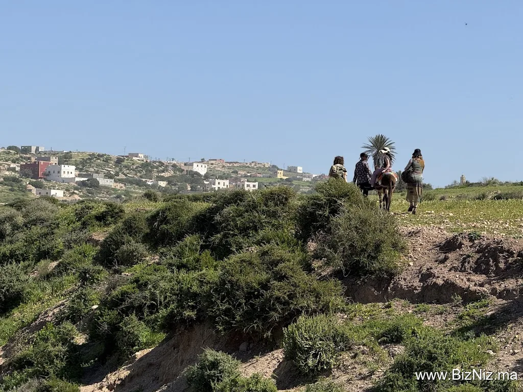Be In Naturetours Essaouira