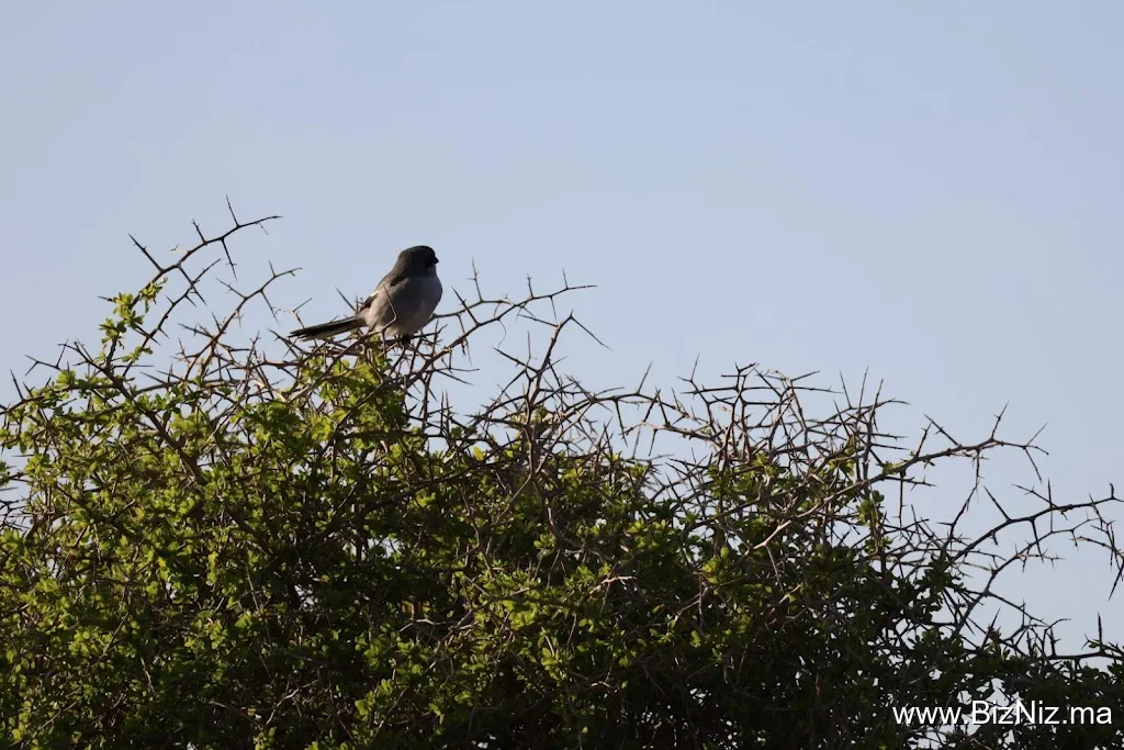 Be In Naturetours Essaouira
