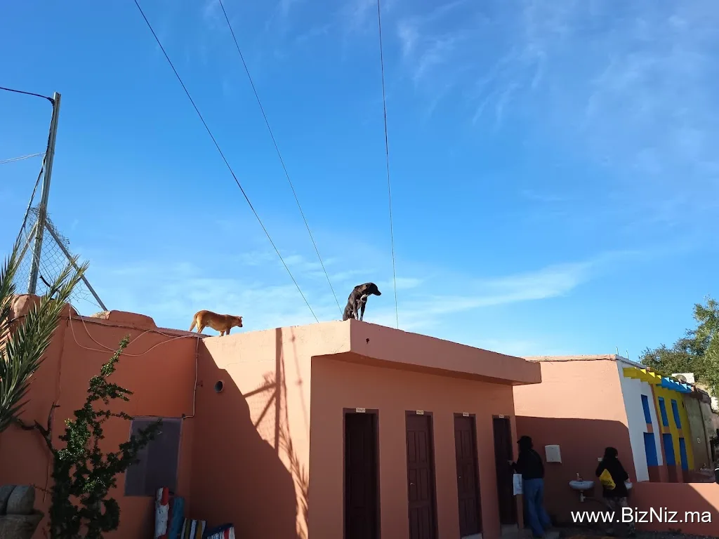 Cooperative D'Argan Marjana