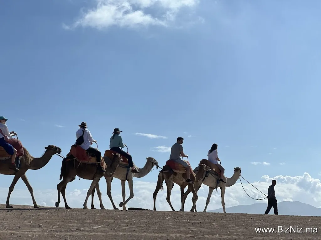 Quad Agafay tours