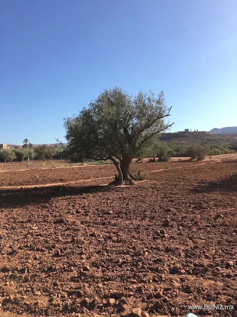 Terres D'Amanar