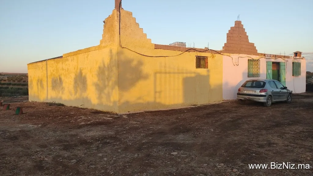معصرة الخير لزيت الزيتون أبي الجعد