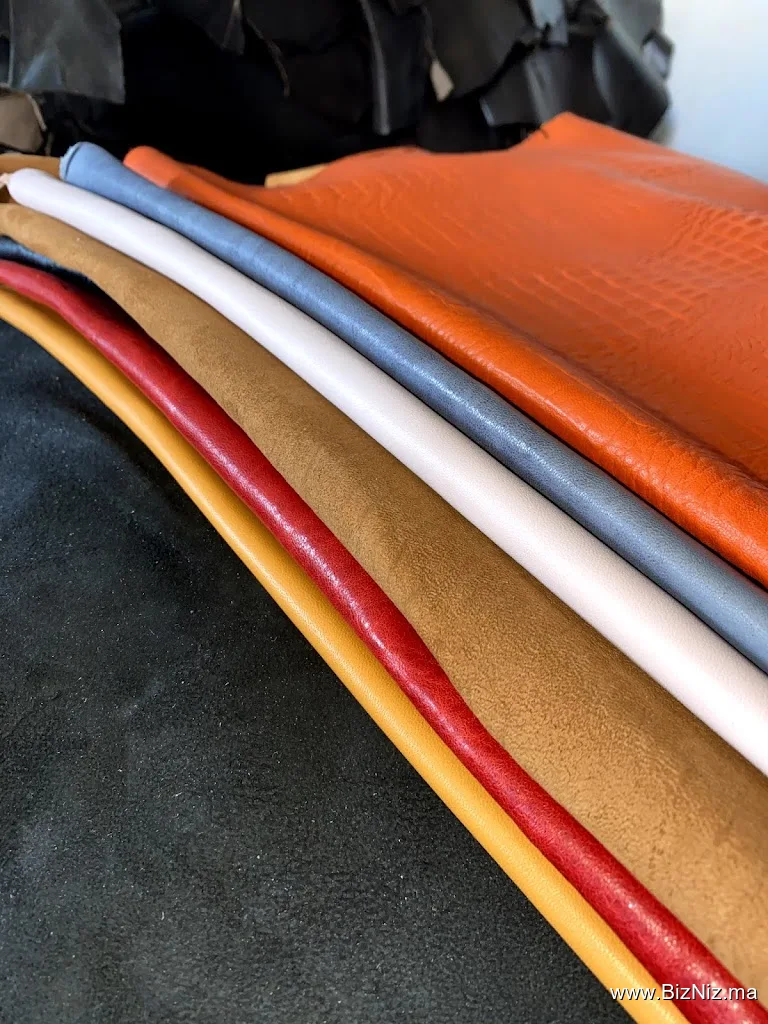 Ren Tanneries (Ventes de cuirs et peaux)