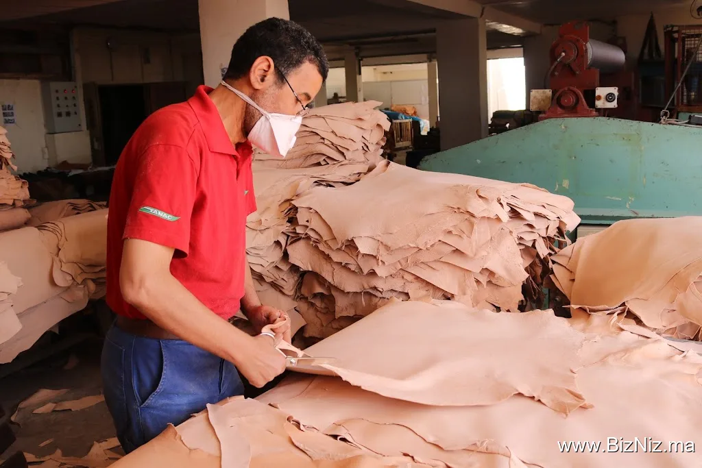 Ren Tanneries (Ventes de cuirs et peaux)