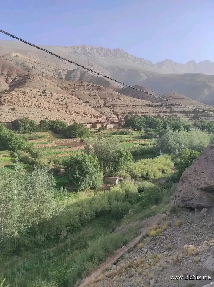 الحوز