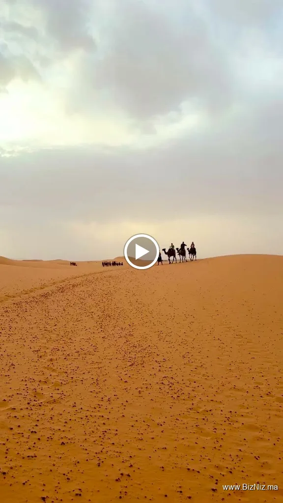 Travel Marrakech tours