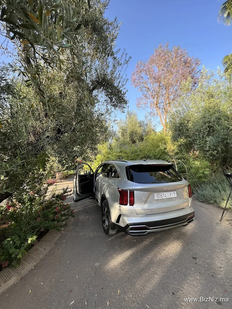 Best Private Transfer