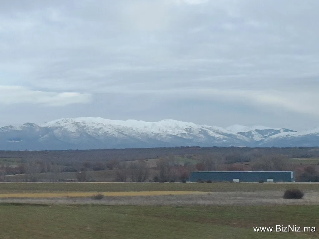 CEDRES ET PALMIERS TOURS
