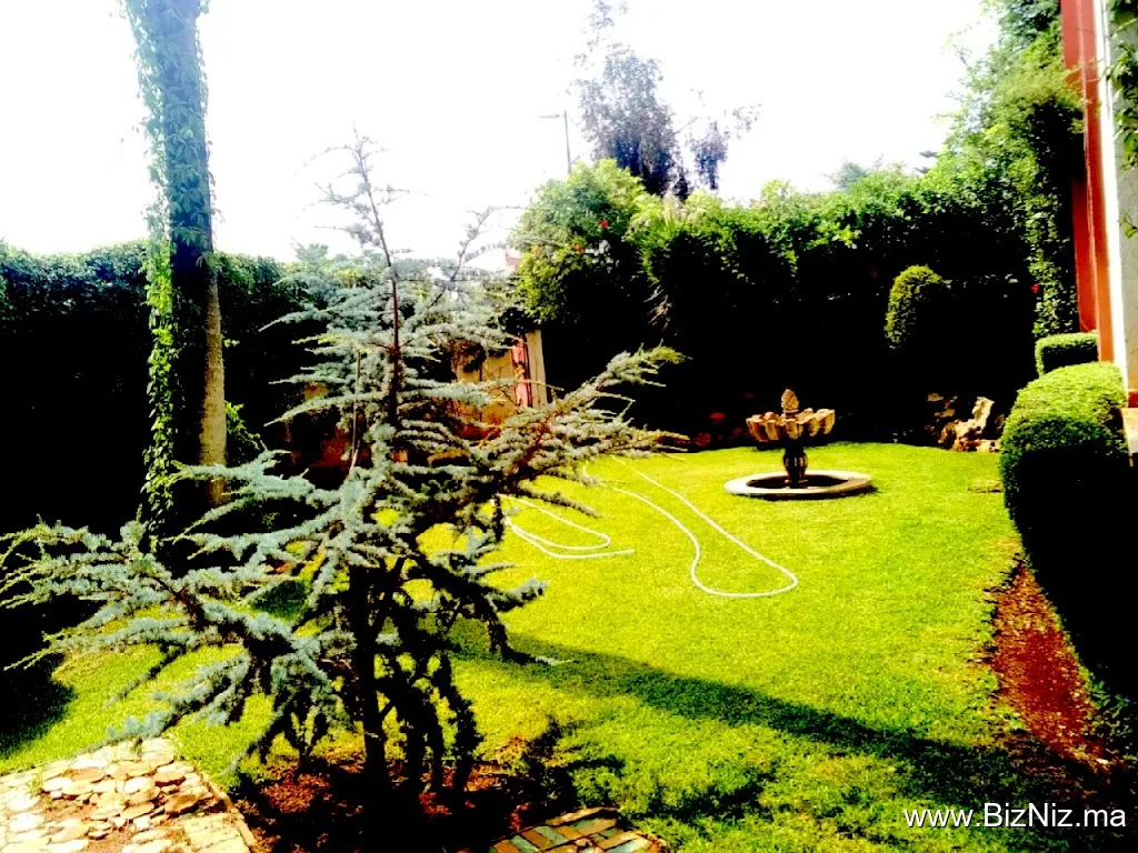 EL MOUDNI-Experts jardinage paysagiste