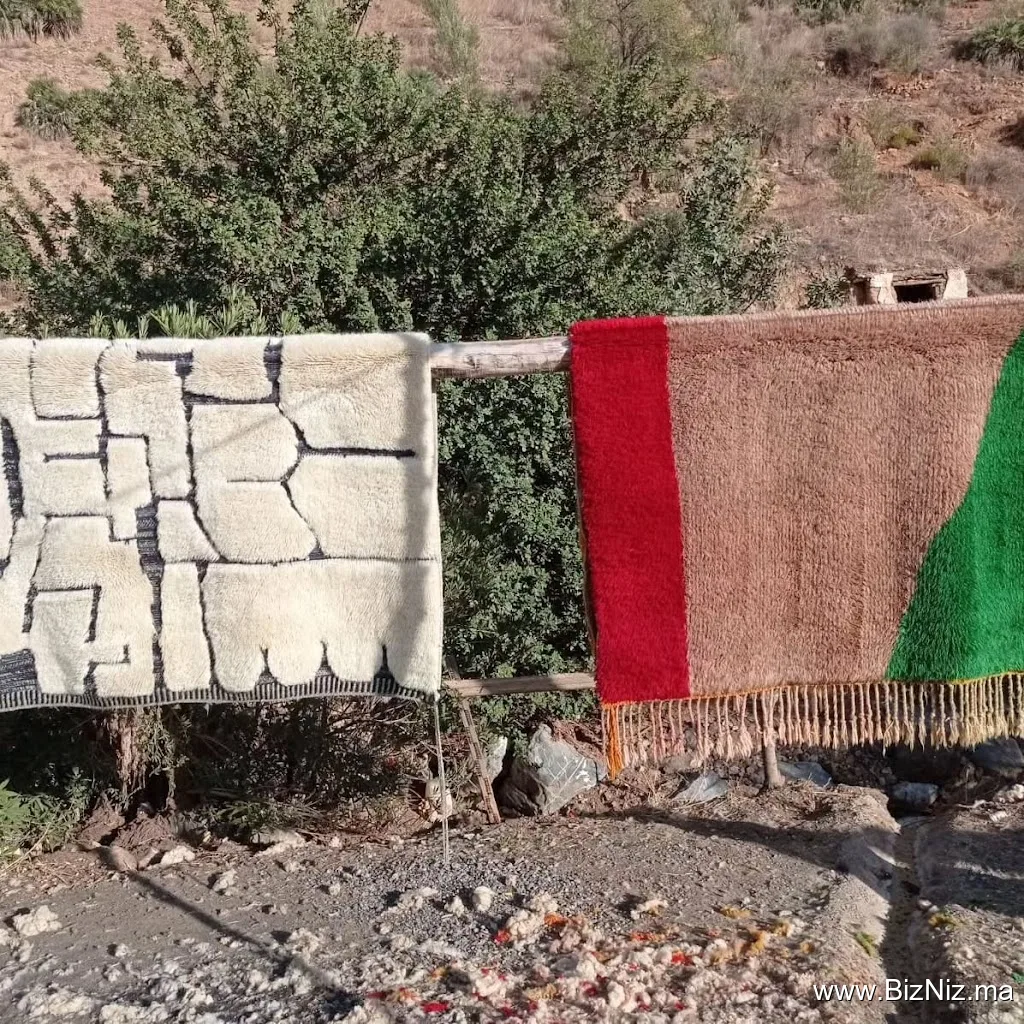 Beni Mrirt Rugs