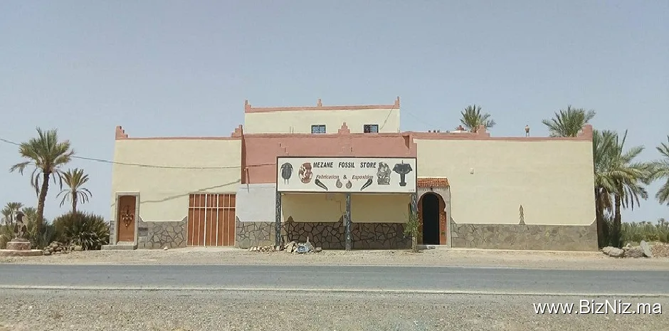 Mezane Fossil Store