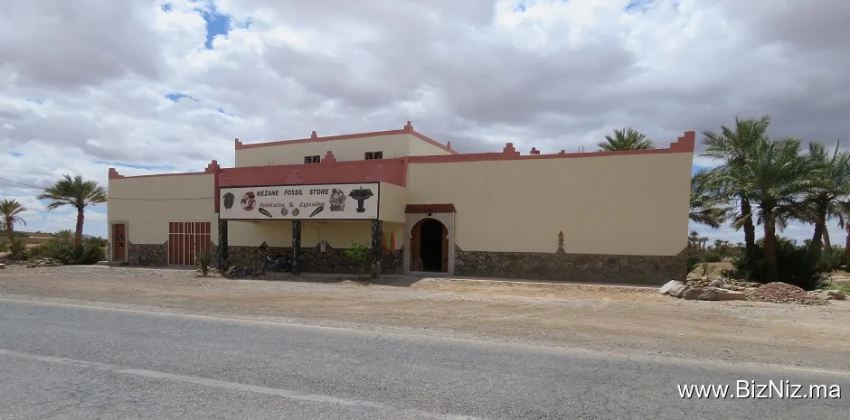 Mezane Fossil Store