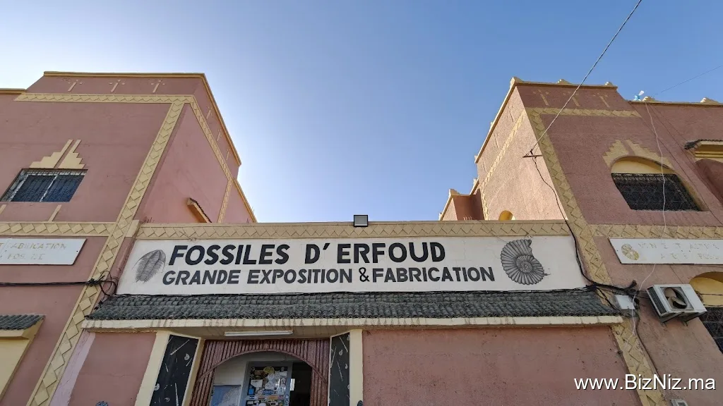 Fossiles d'Erfoud