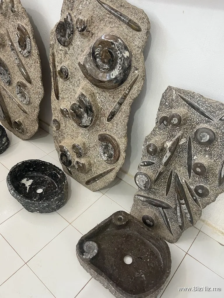 Morabit Marbre Fossils