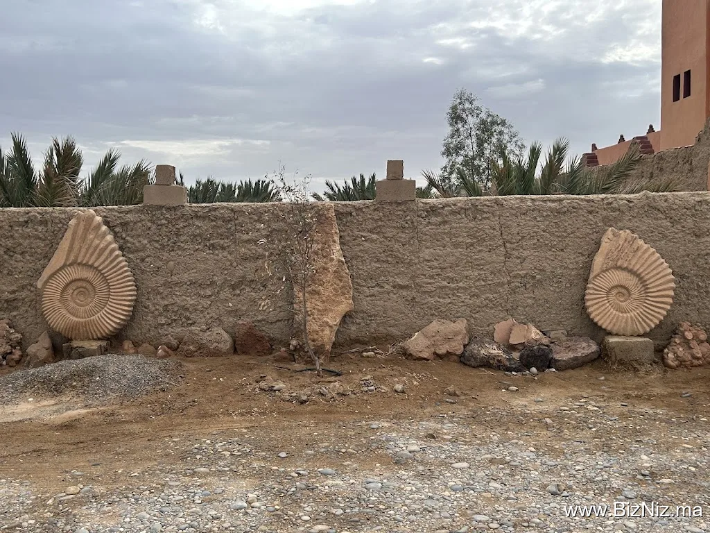Morabit Marbre Fossils