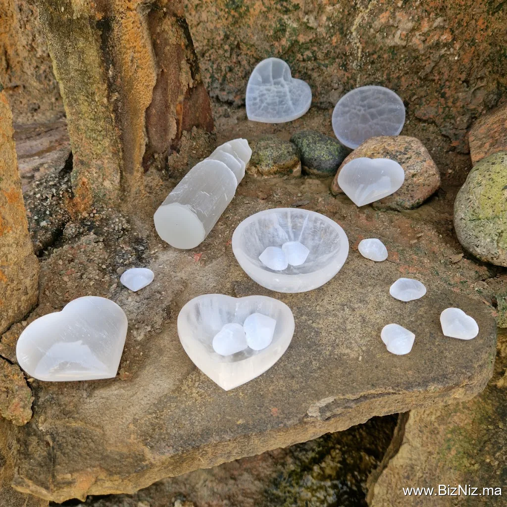 Selenite Fossils Morocco