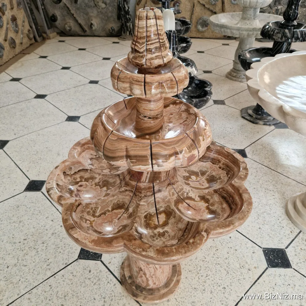 Selenite Fossils Morocco