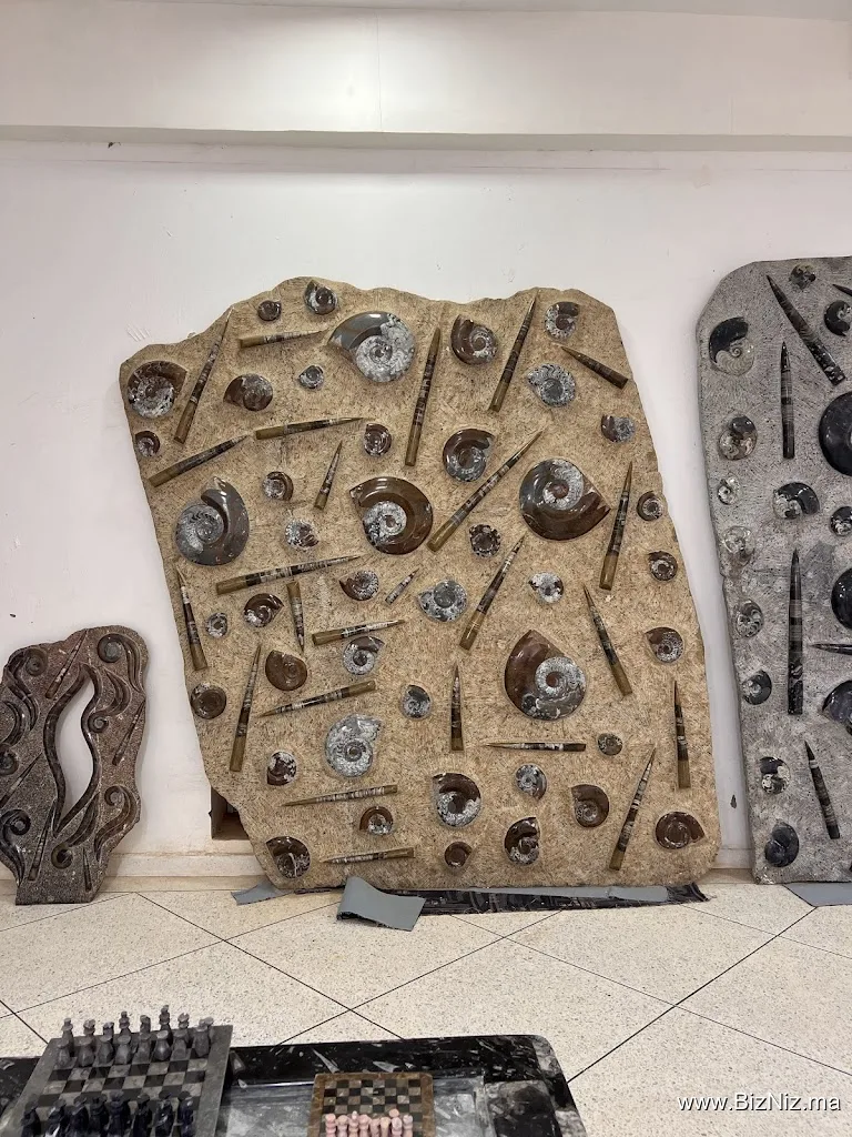 Morocco Fossils