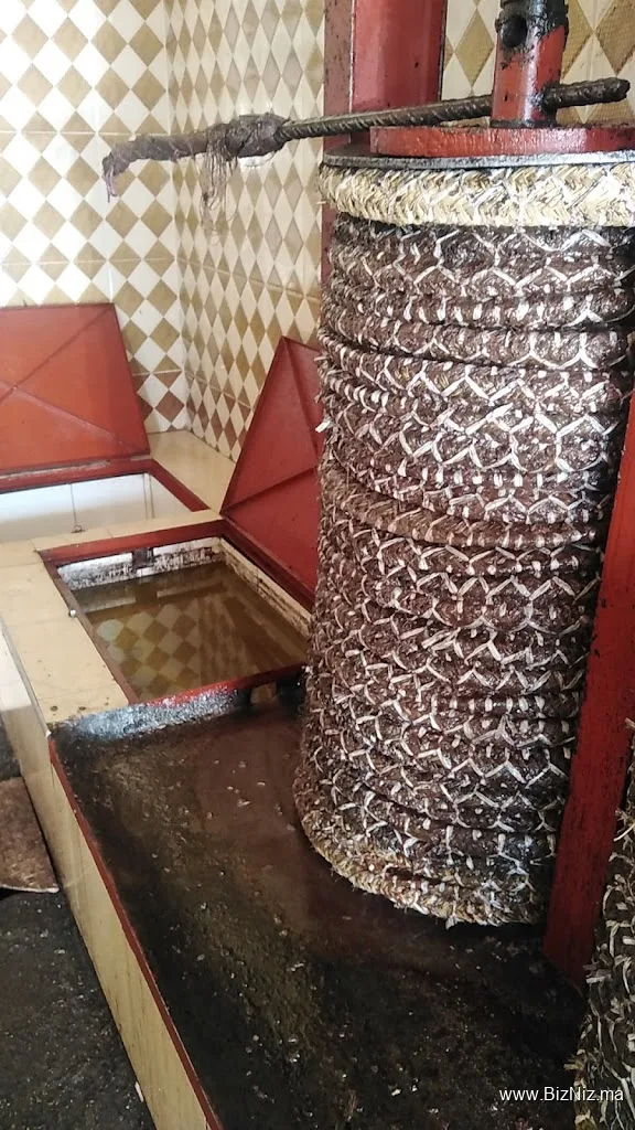 معصرة زيت الزيتون أصفرو