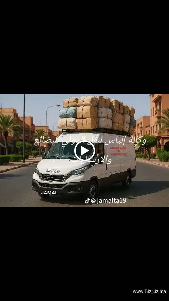 Agence ilyes transport international de bagages