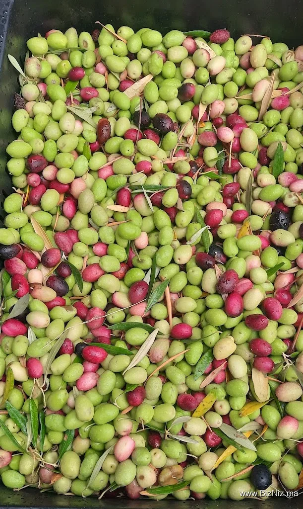 تعاونية أصفرو Bassou OURHO
