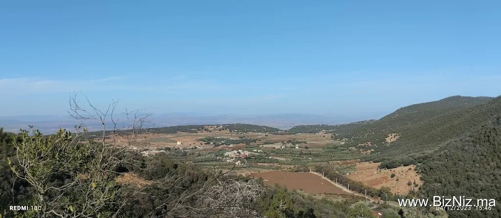 sarif ساريف