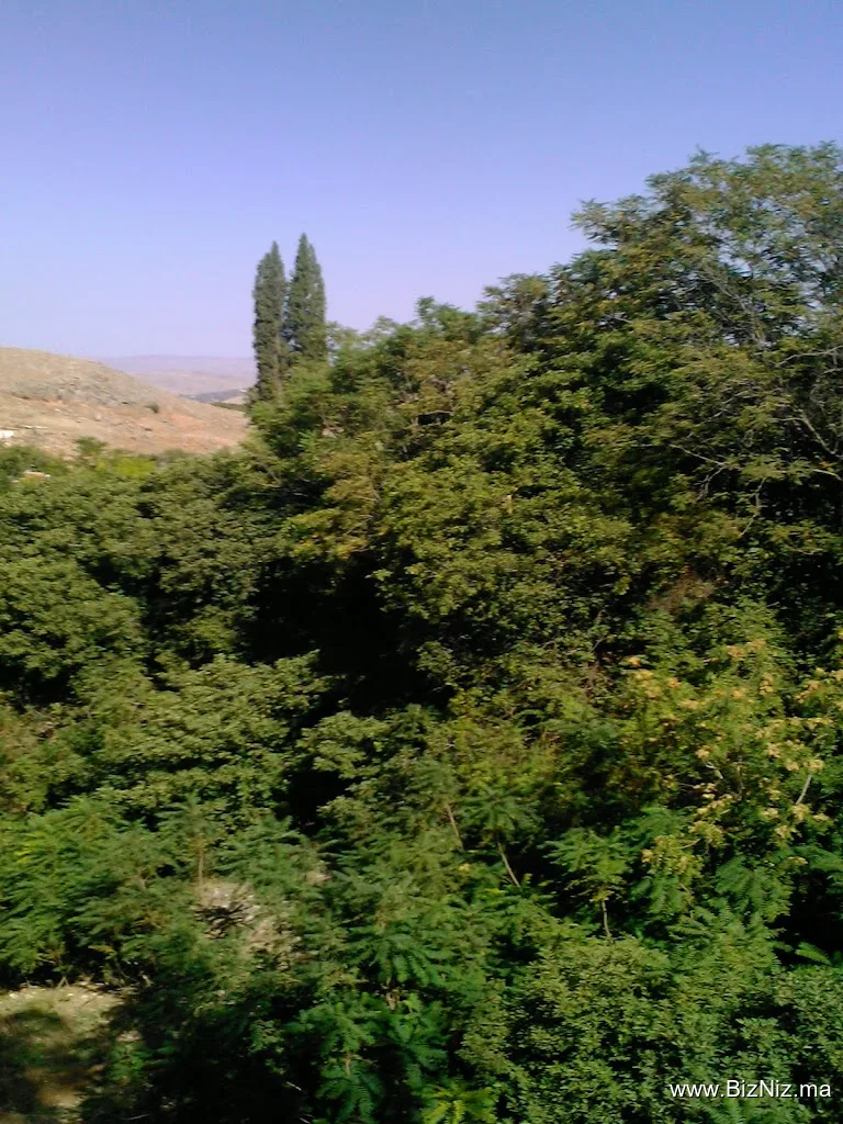 Ain Leuh