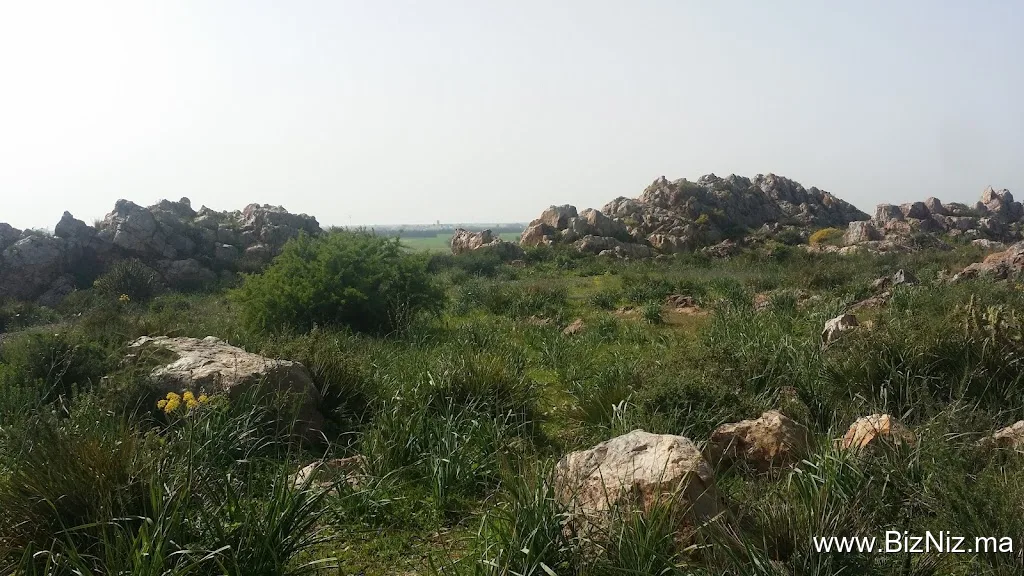 Bureau de vente Les Roches de Benslimane