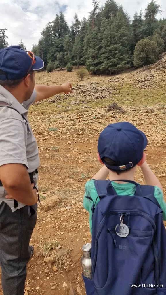 Ifrane National ParK, cedar forest/ Guide, Hiking,Trekking/Randonnées Guidés