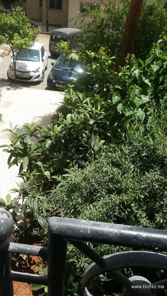 Al Omrane Meknès