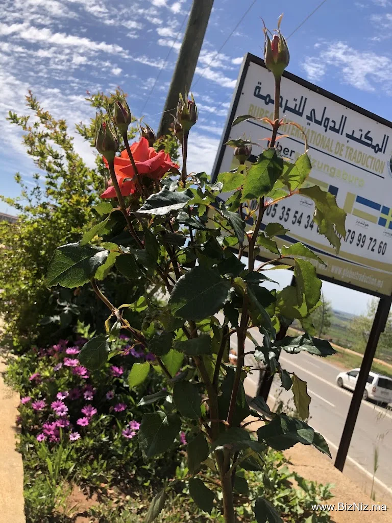المكتب الدولي للترجمة