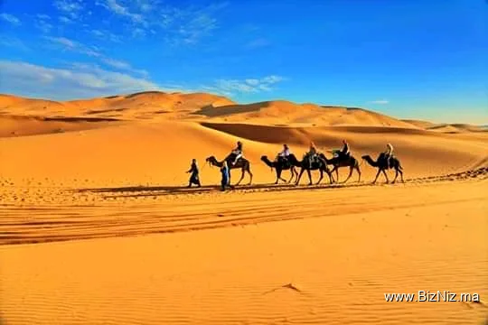 Amazigh Emotions Tours Sarl