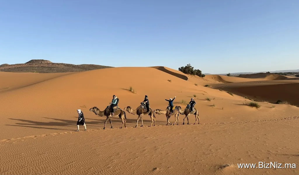 Morocco Travel Explorer