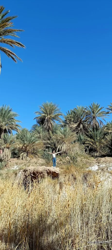 Vacaciones Por Marruecos