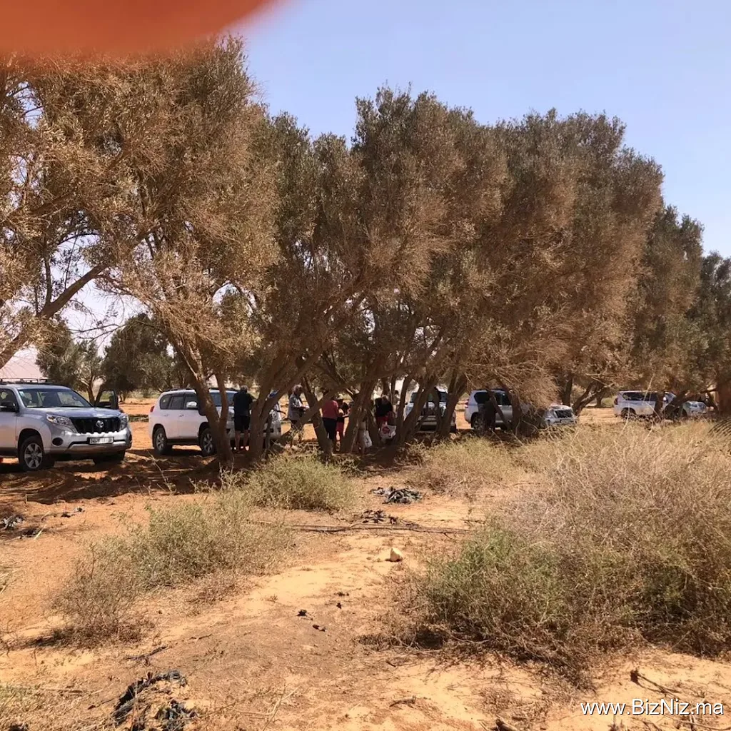Morocco Safari adventure
