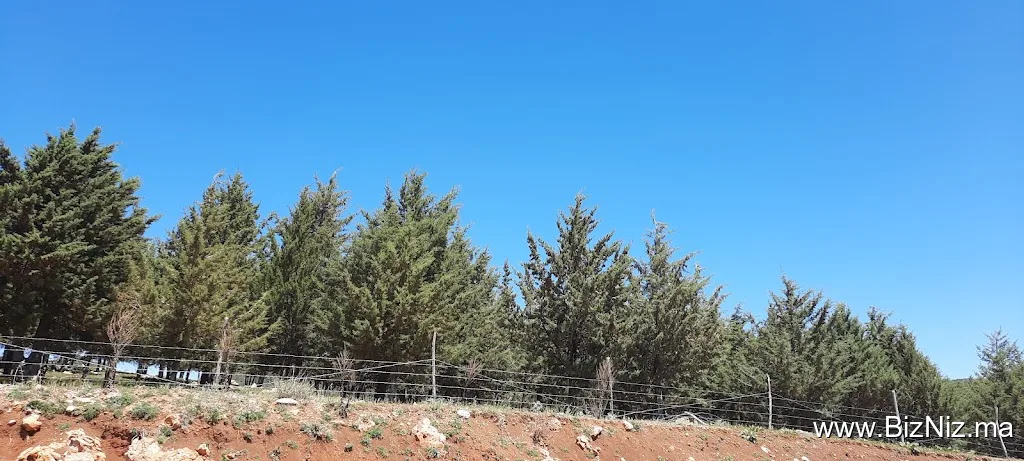 إفران