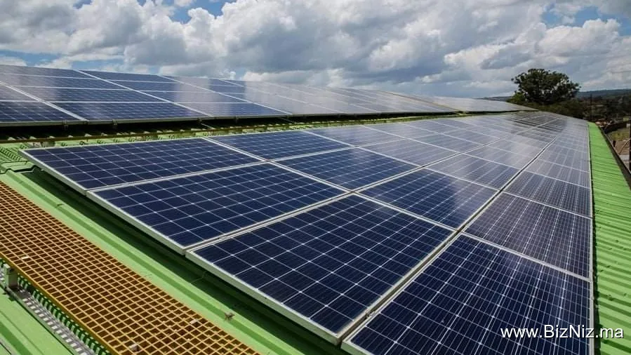 Solaract.pro